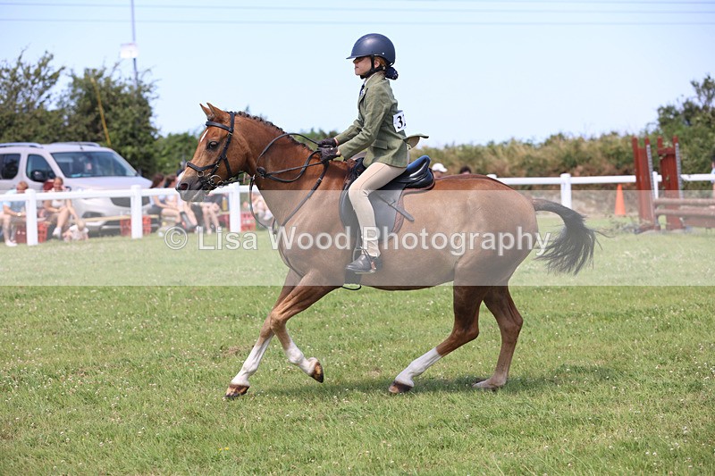 JPP_2659 - Class 21: Working Hunter 60cm