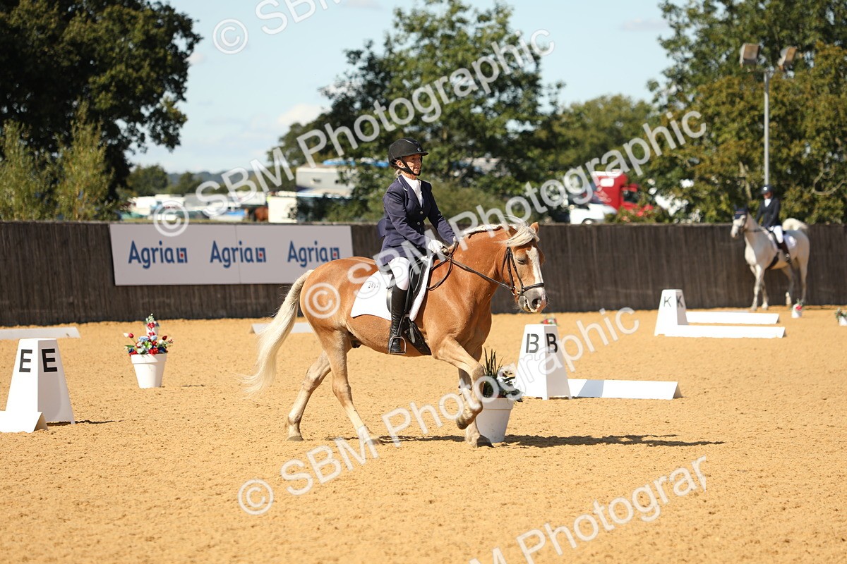 SBM_22394 - D17 - Grand Tour Championship - Novice 27