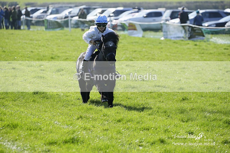 PtP 190322 41 - Wilton Hunt PtP Milborne St Andrew 19/03/22