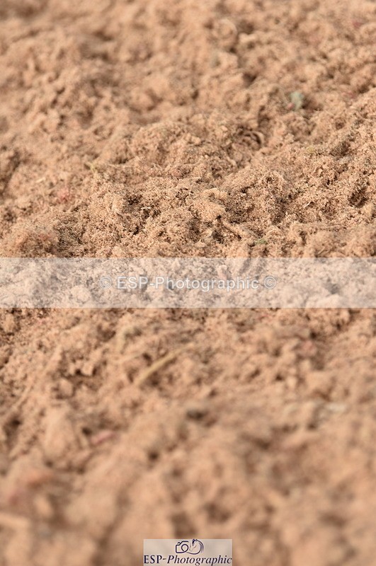 230810A-090644-00017 - Cls 8 British Novice & 90cm Open