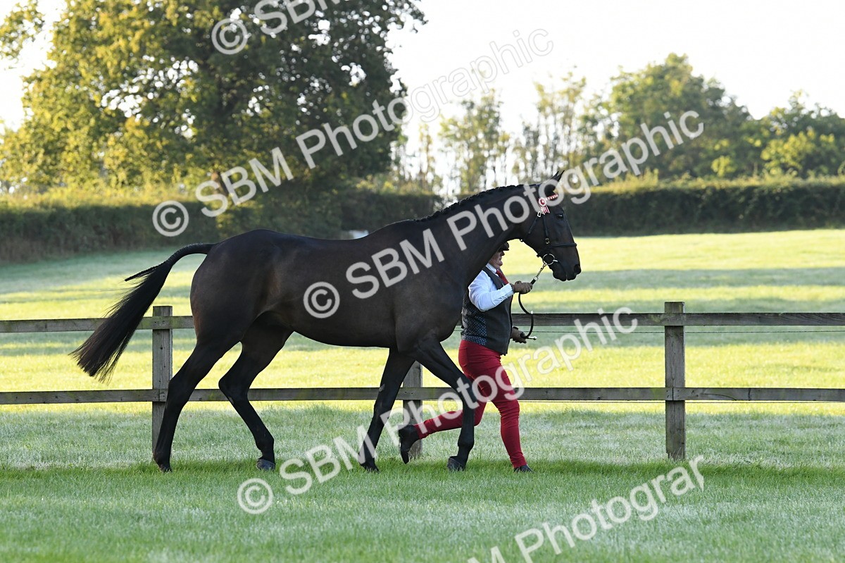 SBM_32504 - S15 - Condition & Turnout In Hand
