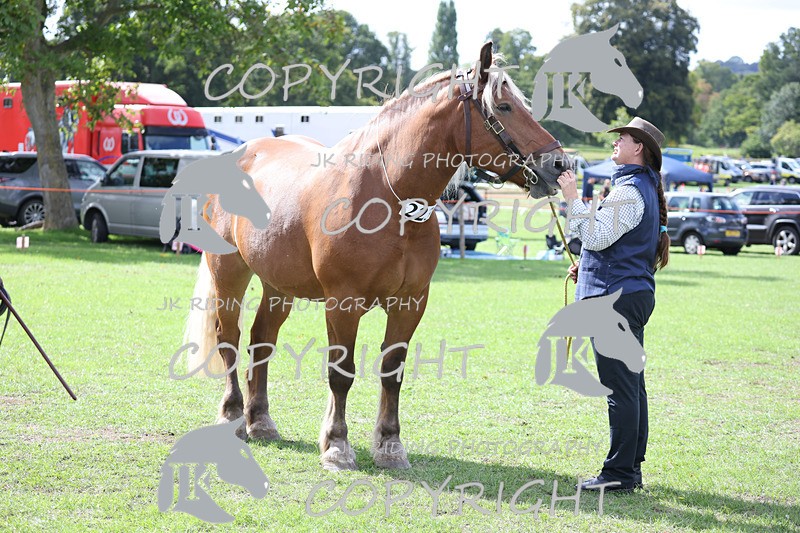 APP_3266 - Class 4 Veterans