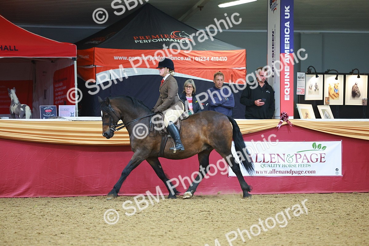 SBM_10643 - Class 103 - HOYS Veteran Qualifier - Ridden Pre Vet