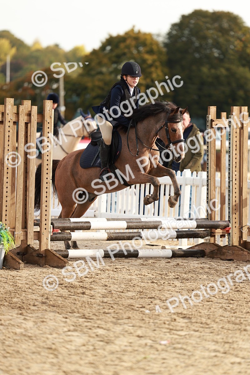 SBM_55644 - J11 - Junior Pony 50cm Championship