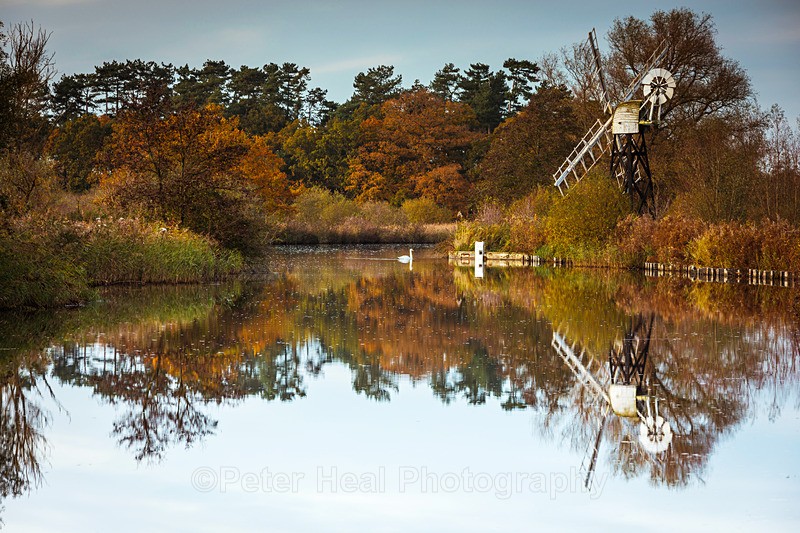 Autumn Reflections