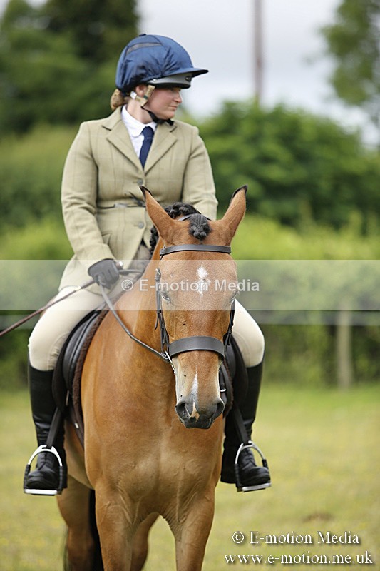 BVR160717-315 - Ring 1 BVRC Show 16/07/17