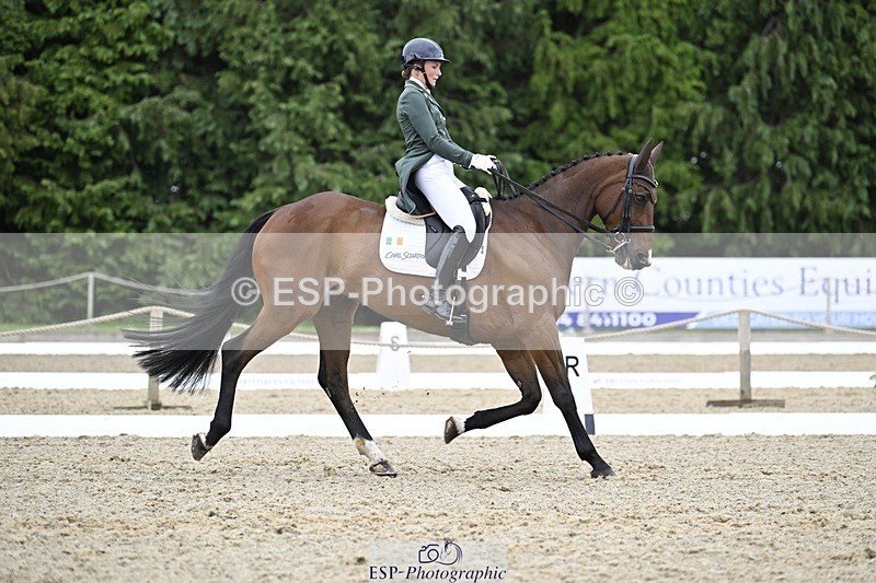 000101-212634-04310 - 412-WELLFIELDS_LINCOLN-Susie_Berry