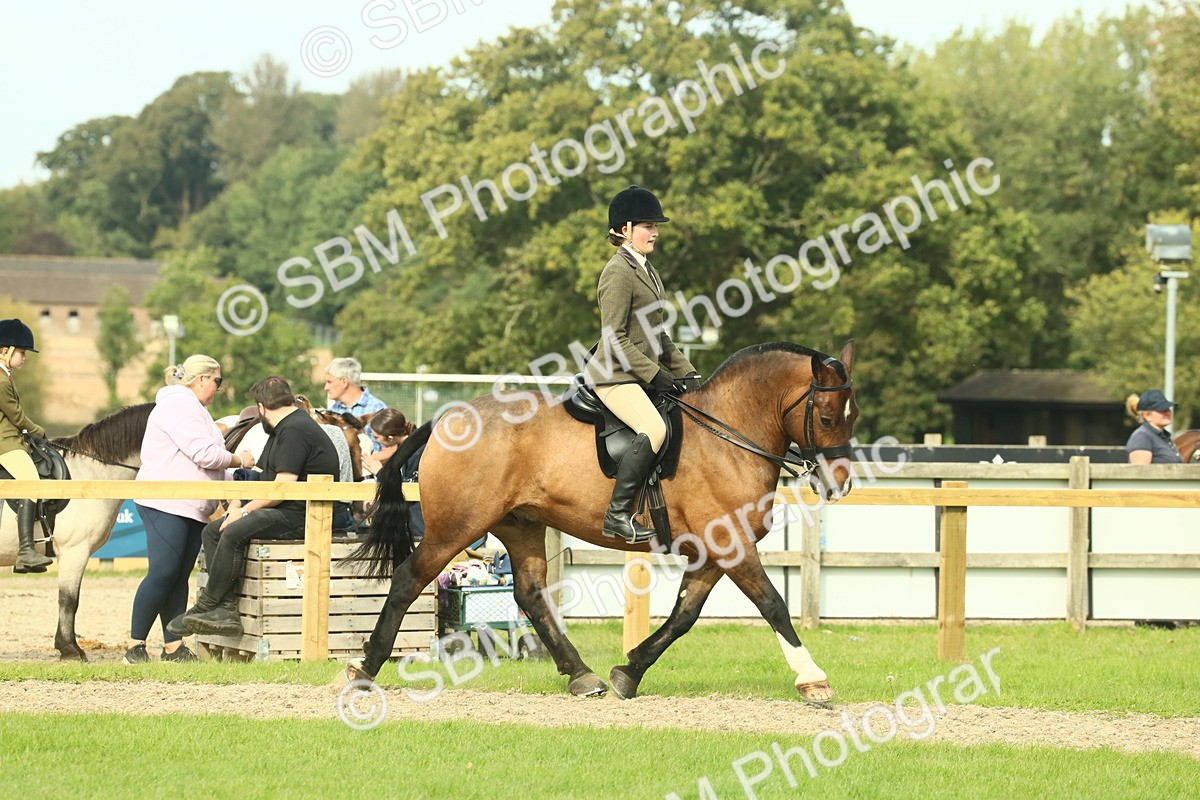 SBM_68195 - S58 - Mini Show Cob Ridden
