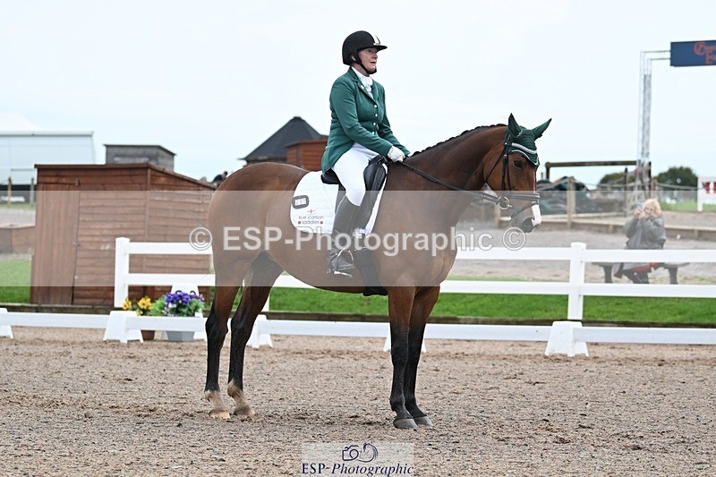 250907-113916-07270 - 001-Tracy.OKennedyWylye.Harlequin