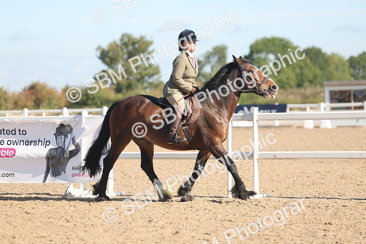 SBM_12285 - Class 304 - Ridden part Bred Horse Pony
