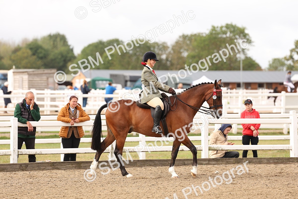 SBM_01520 - Class 52 - Ridden Veteran