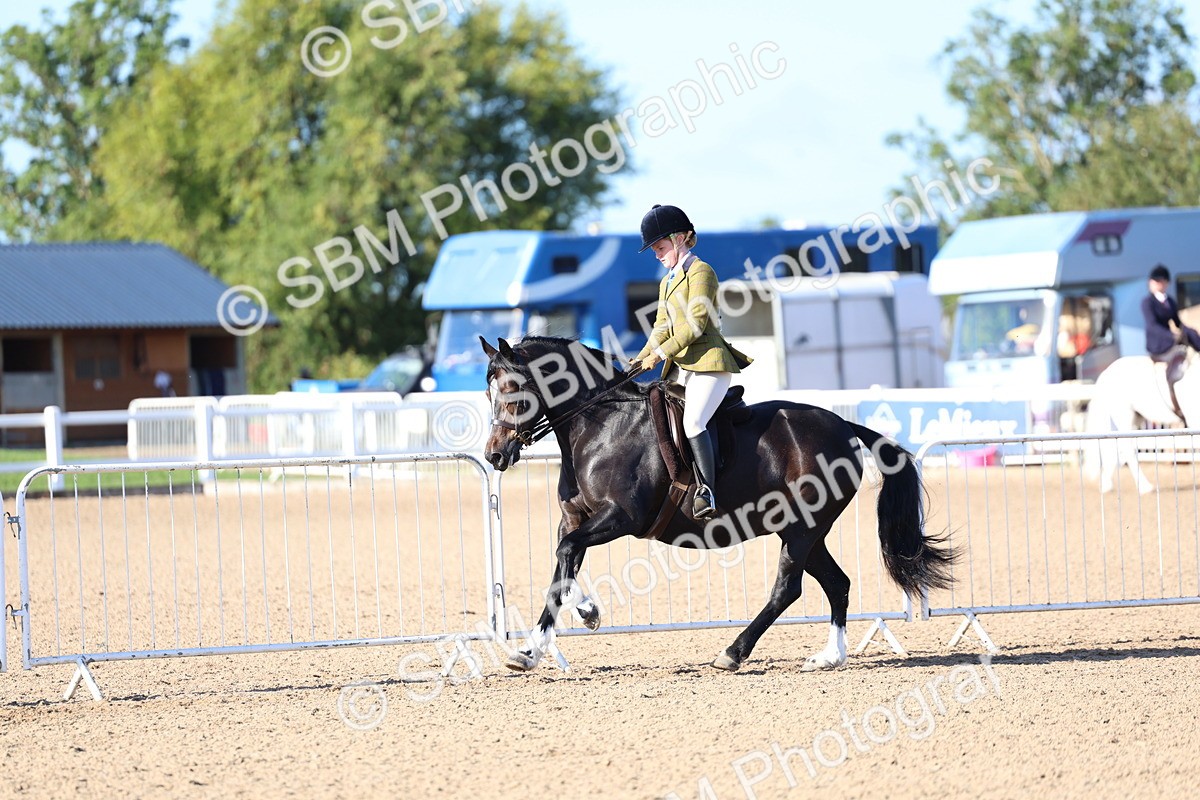 SBM_08793 - Class 302 - Ridden M&M - Large Breeds