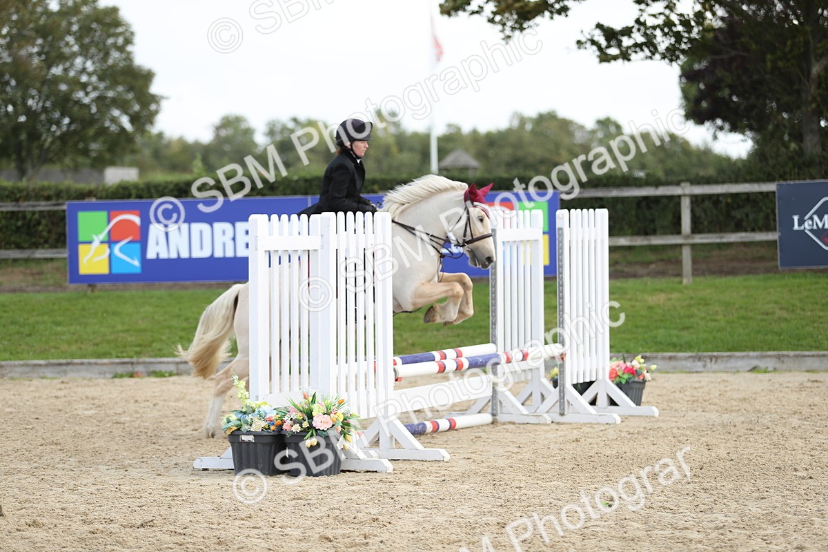 SBM_06424 - J29 - Senior Horse & Pony 65cm Championship