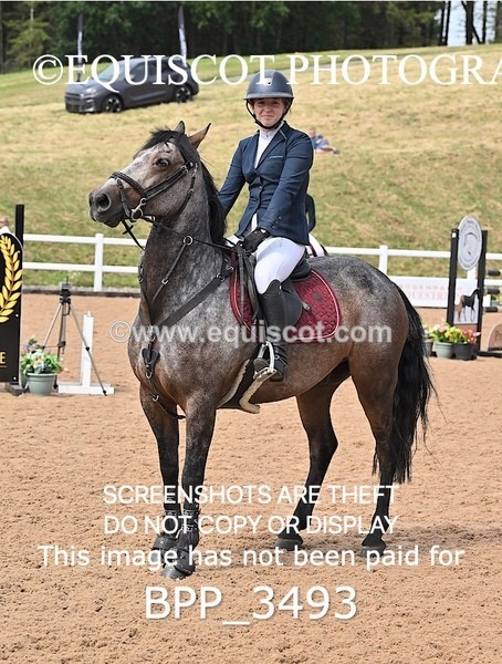 BPP_3493 - FRI CLASS 19 Junior 1.20 Open /Inc 148 Restricted Open **Viewing/Selection class for 148 teams**