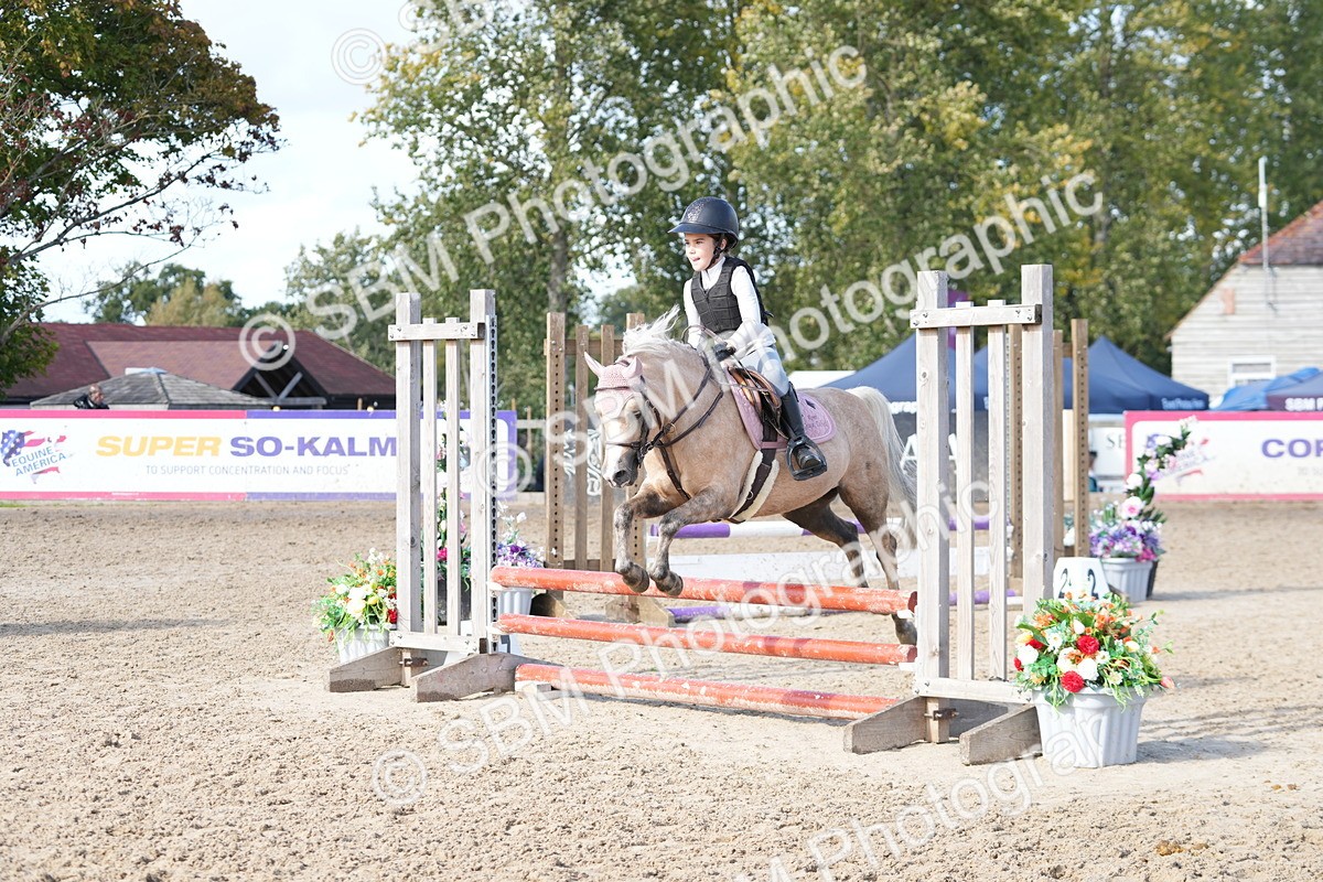 SBM_48397 - J7 - Junior Pony 60cm Championship