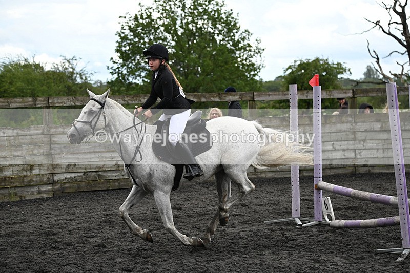 WJ6_0127 - Class 13 Novice 60cm