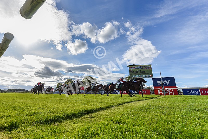 310526-Race 5-Fandom-9471 - Race 5 17.45pm Sky Bet Price Boosts Handicap