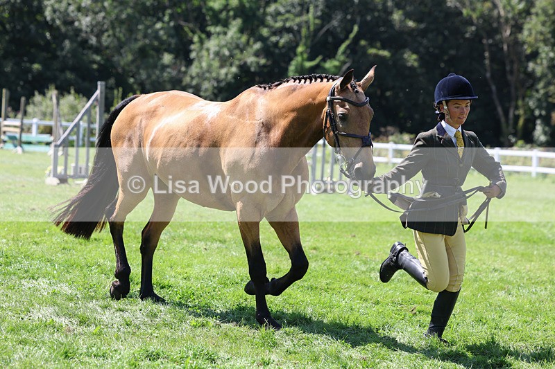 3E7A9082 - Class 6: Open Working Horse