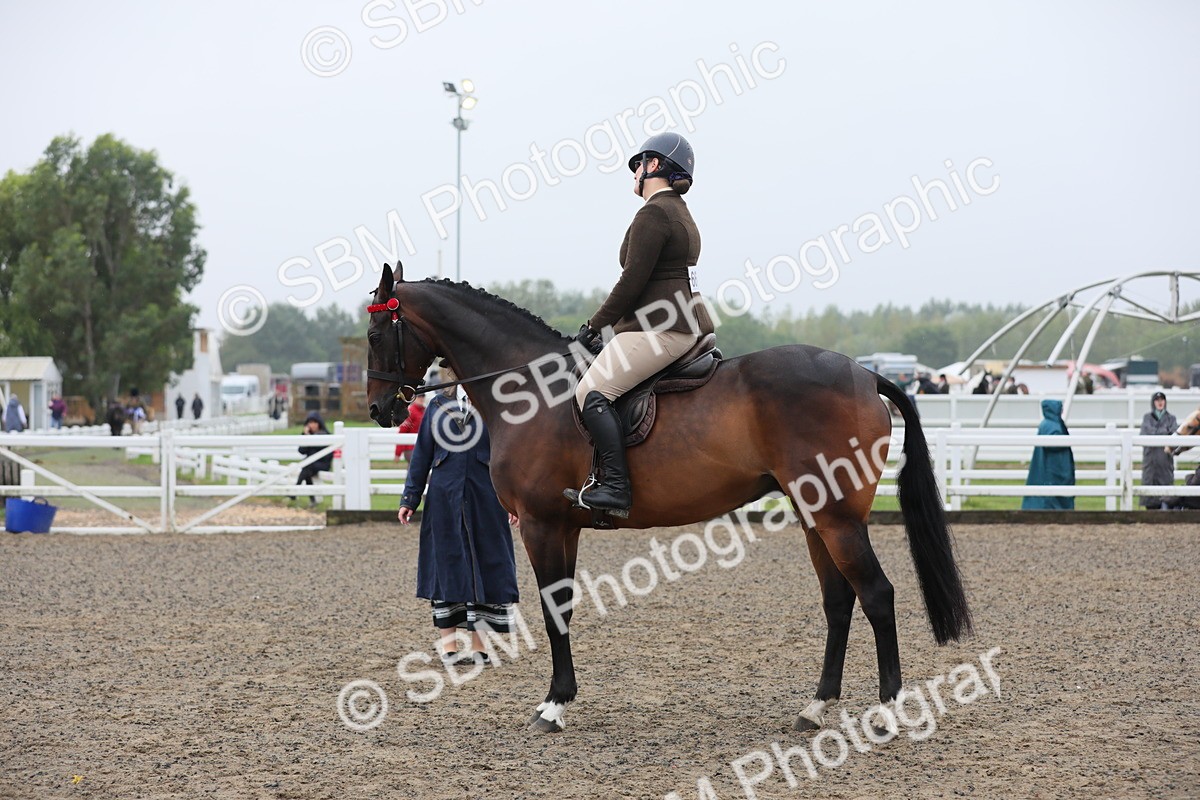 SBM_20047 - Class 802 - Ridden Groom - Helpers class