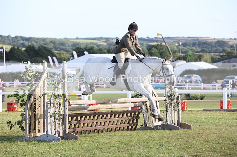 JPP_3383 - Class 22: Working Hunter 90cm