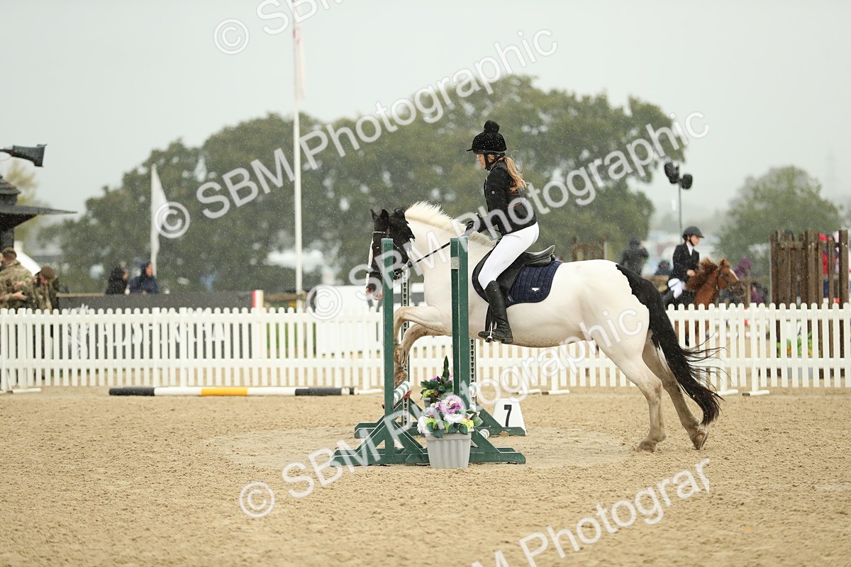 SBM_34284 - J60 Clear Round 50cm