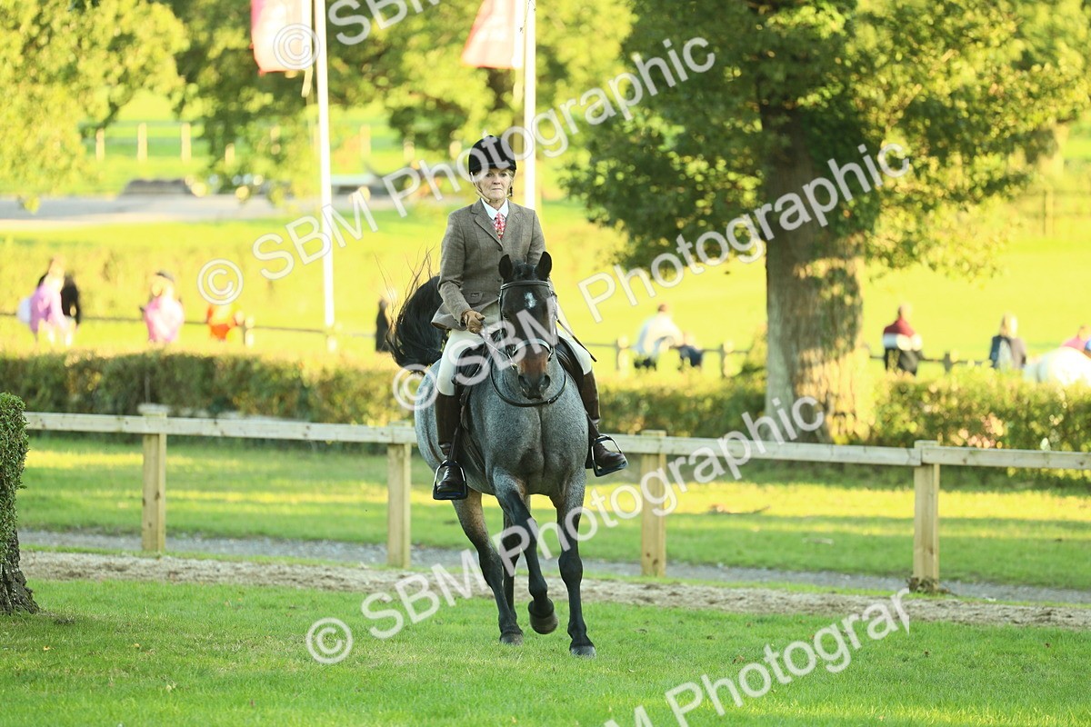 SBM_55626 - S14 - Riding Club Horse