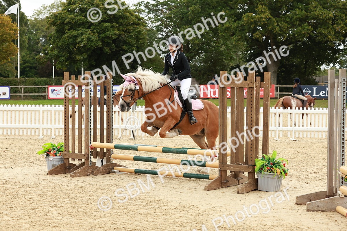 SBM_67098 - J13 - Junior Pony 60cm Championship