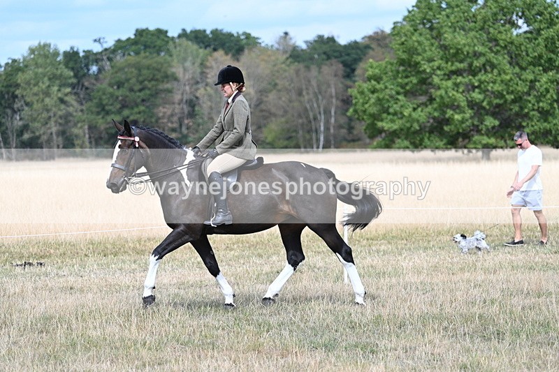WJ7_5840 - Class 13 Ridden Veterans