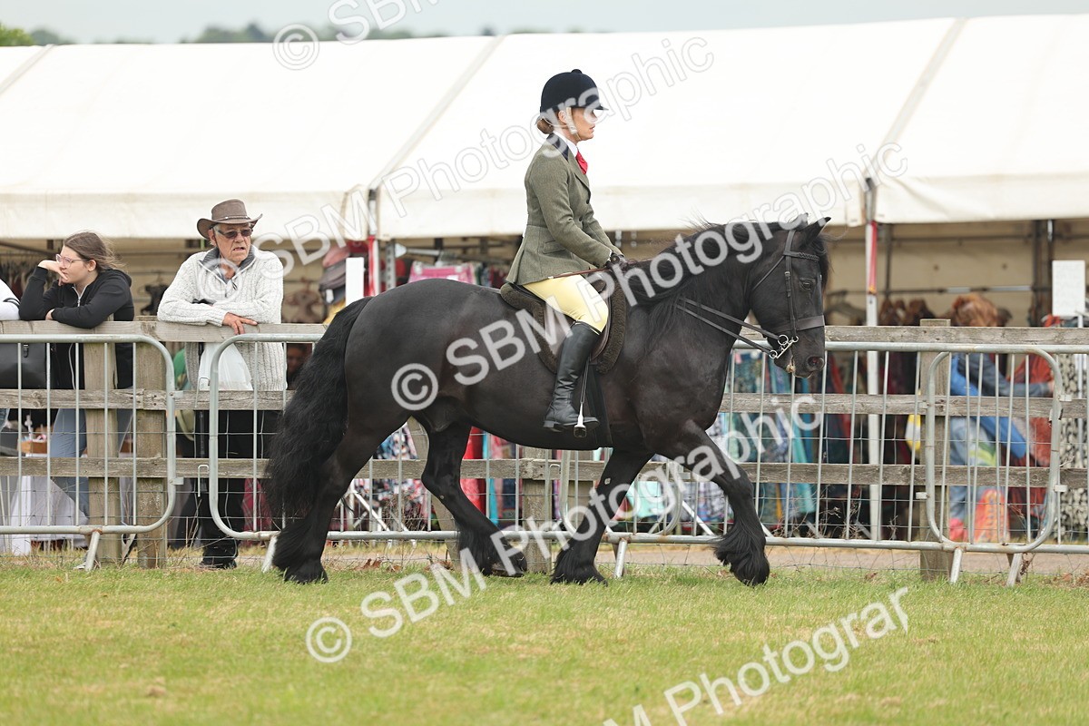 SBM_08941 - Class 78-80 - Ridden M&M Non Welsh Ponies