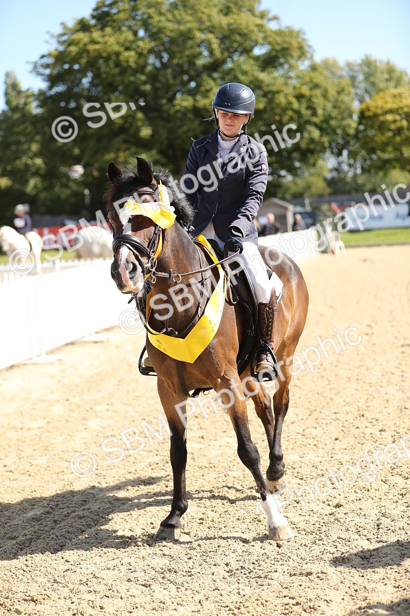 SBM_04787 - J28 - Senior Horse & Pony 60cm Championships