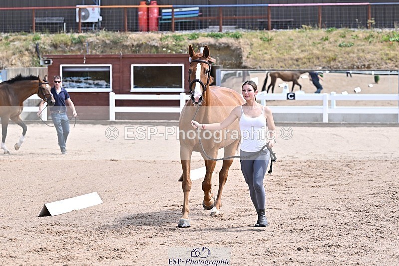 250716-124816-00172 - Trot Up 12.30 to 1.30