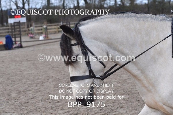 BPP_9175 - 50CM