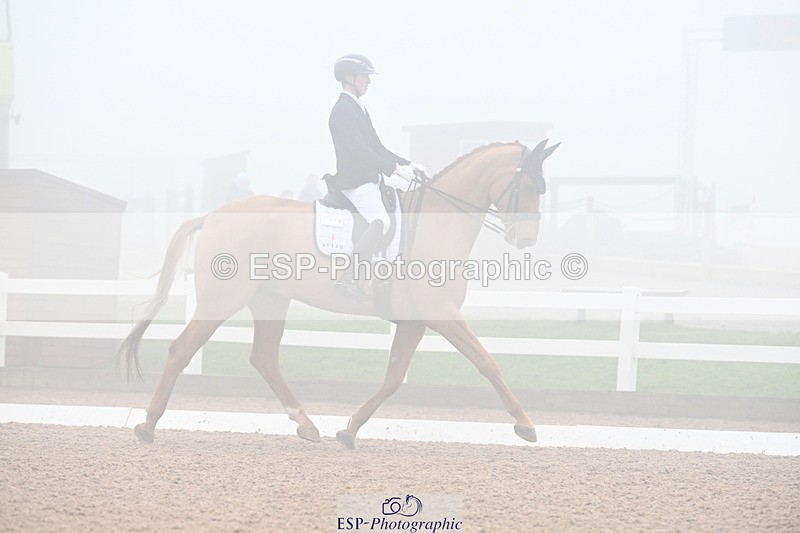 240217A-131130-02766 - 271-Tom.Carter-Rubin.Regal