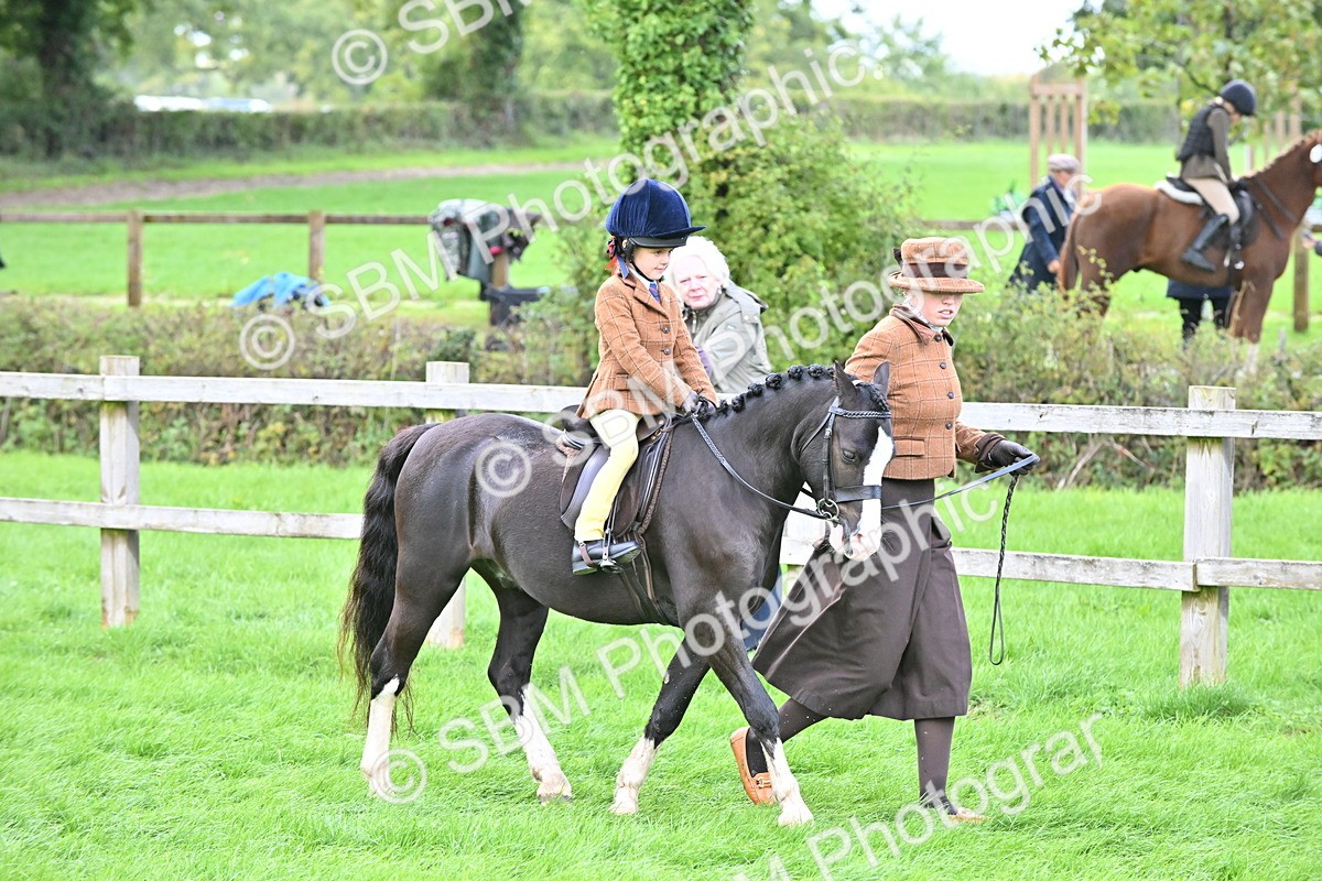 SBM_38330 - S19 - Lead Rein Show & Show Hunter Pony