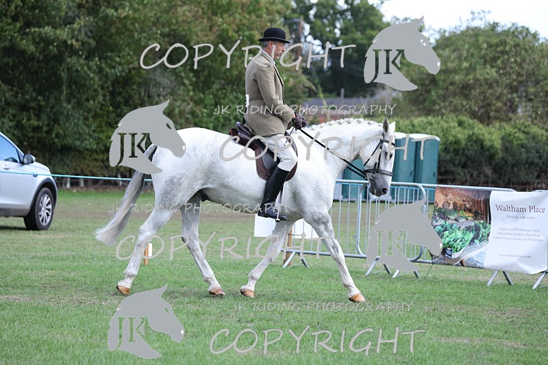 APP_4116 - Class 15a/b Pony club pony/Riding club horse