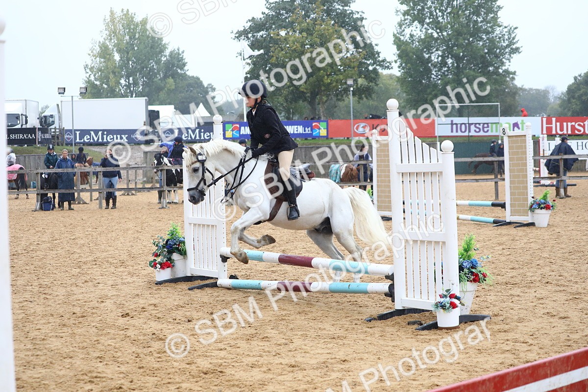 SBM_71674 - J4 - Mini Tour Junior Pony 45cm Championship