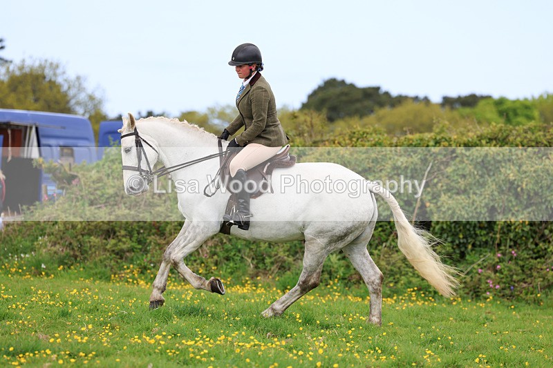 3E7A1185 - Class 7: Ridden Hunter Type