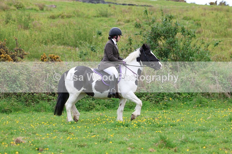 3E7A1534 - Class 8: Ridden Veteran Junoir and Senior