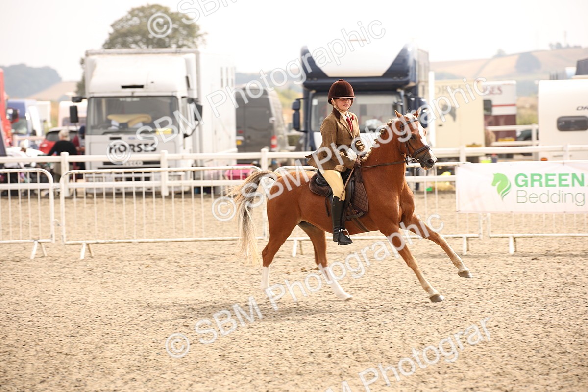 SBM_12615 - Class 405b - M&M Working Veteran 50cm 20+