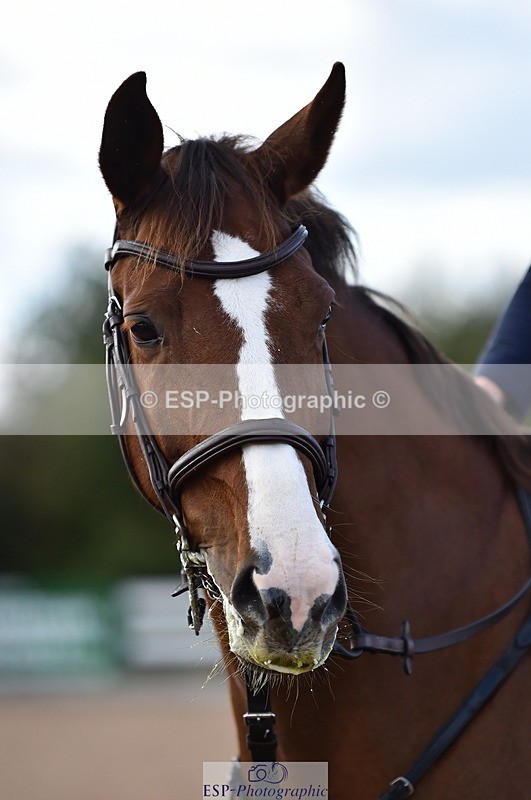 231014A-145742-05402 - Cls 15 1.05m Amateur Q 2nd R