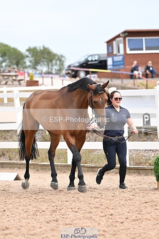 250716-154150-02133 - Trot Up 3.30 to 4.30