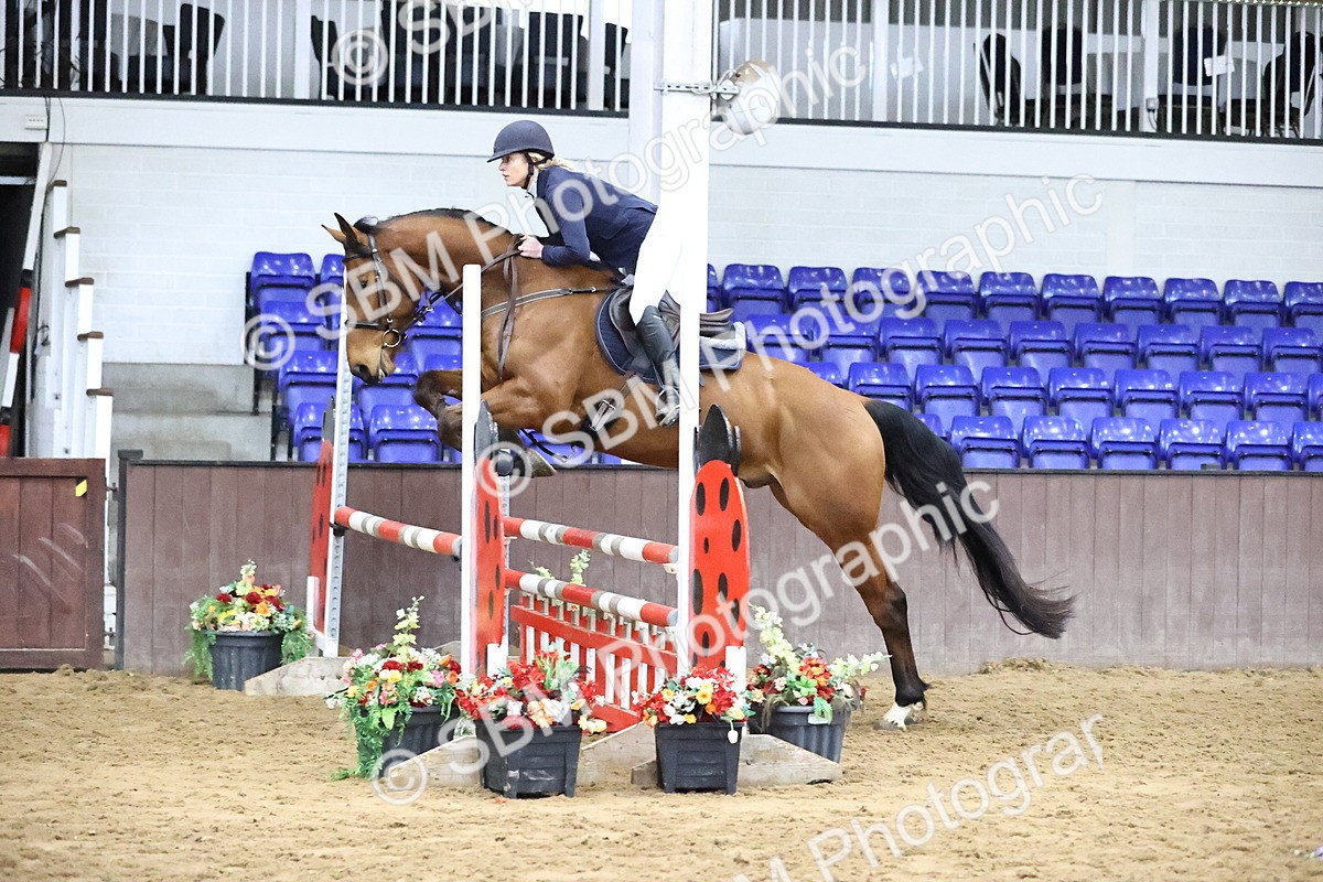 SBM_003017 - Class 14 - Senior British Novice - 90cm