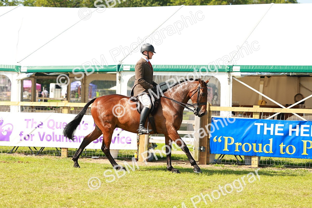 SBM_12029 - Class 66-69 - RIHS Ridden Hunters Inc Small Hunter