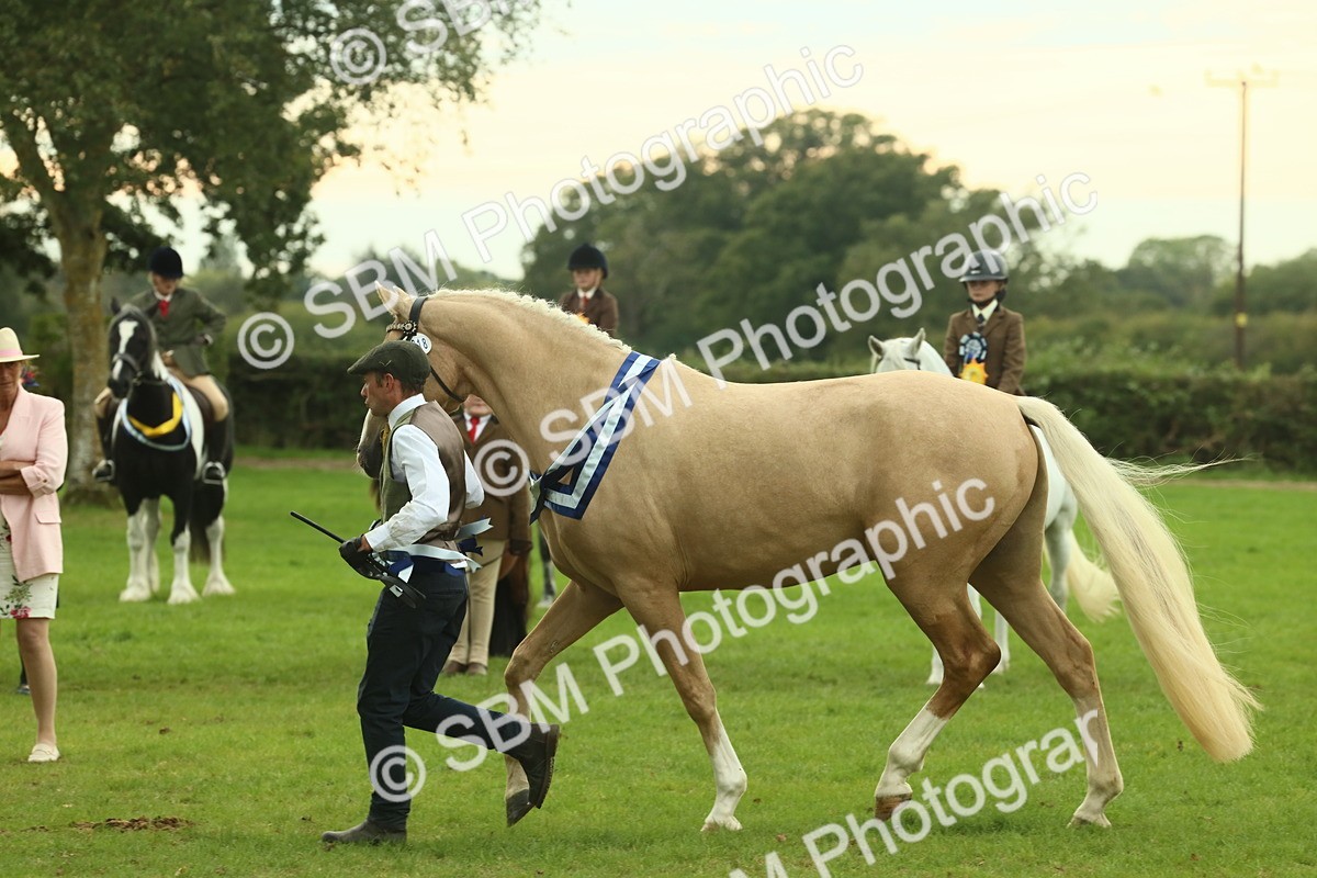 SBM_75189 - Super Supreme Championship