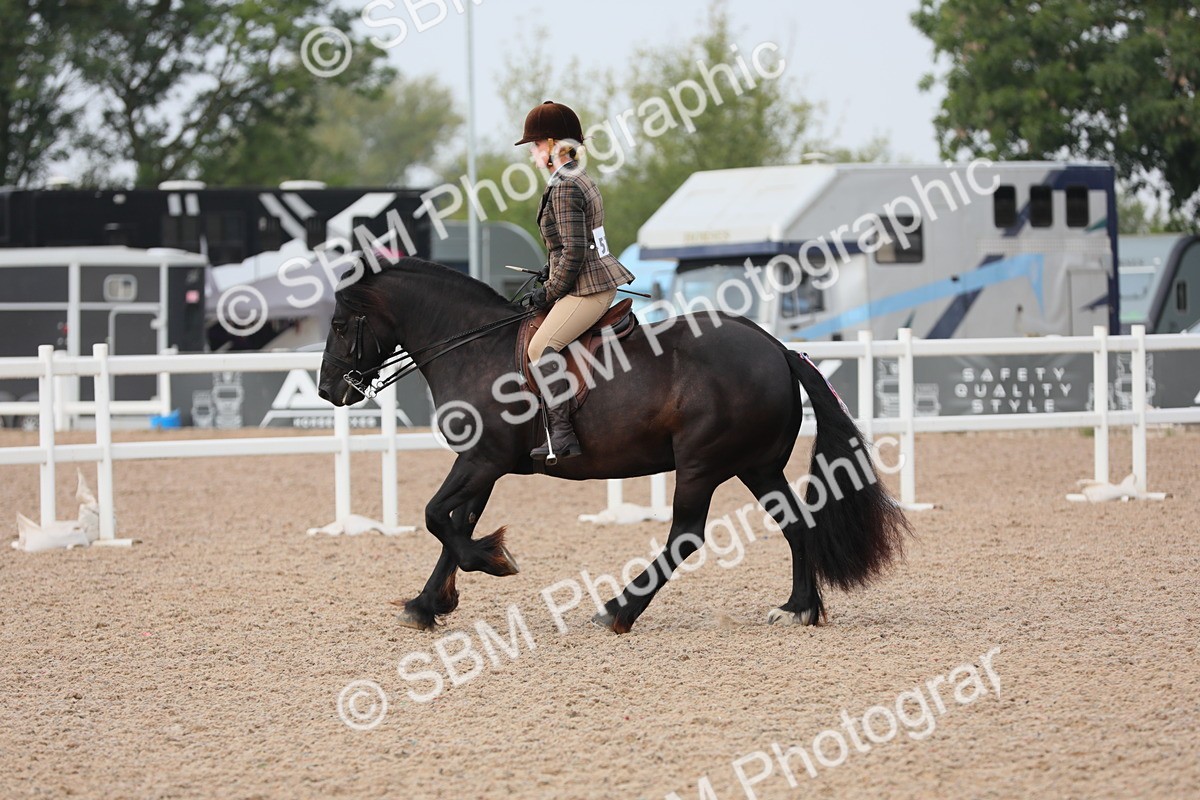 SBM_10029 - Class 302 Ridden M&M -Large Breeds