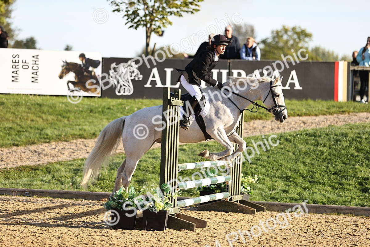 SBM_33179_J38 - Senior 80cm Championship - Michaela