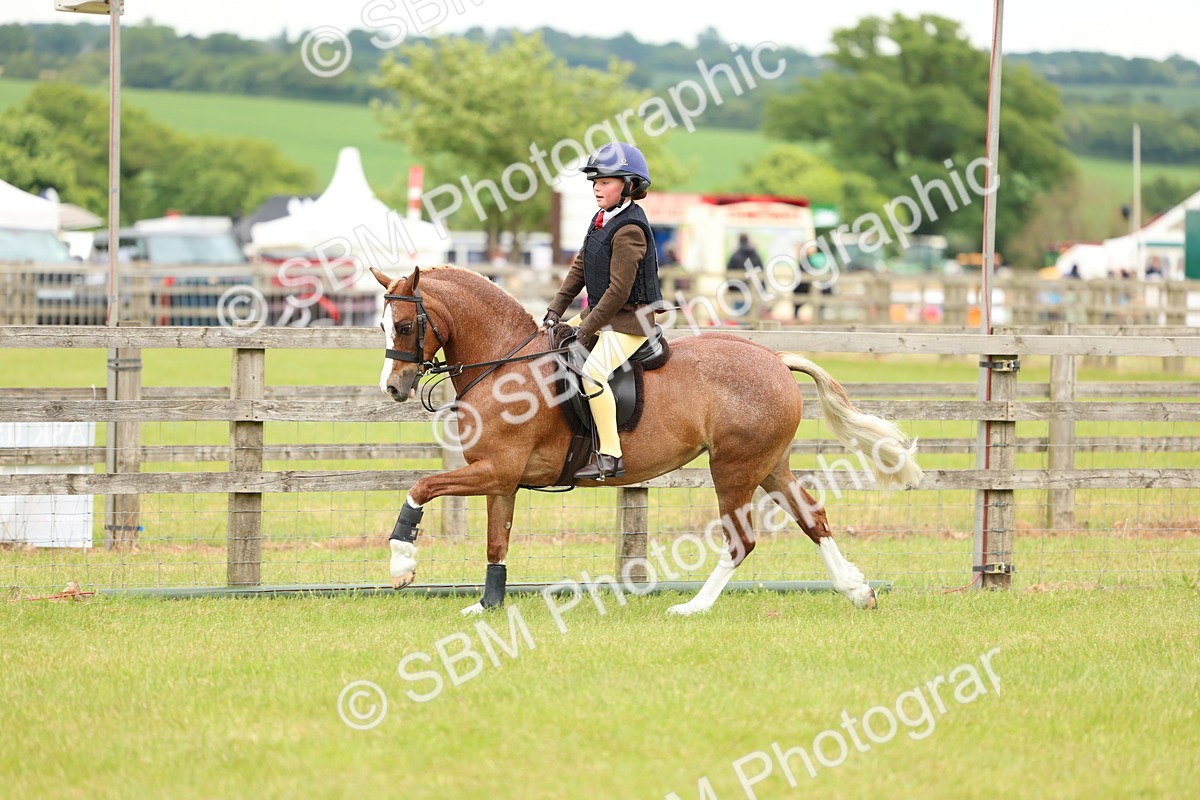 SBM_10275 - Class 44-45 - LIHS BSPS Open Nursery and Cradle Stakes