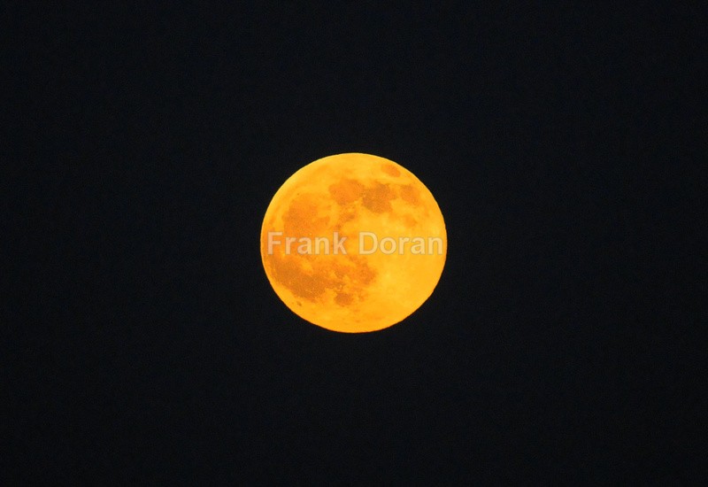 THE MOON - Frank Doran