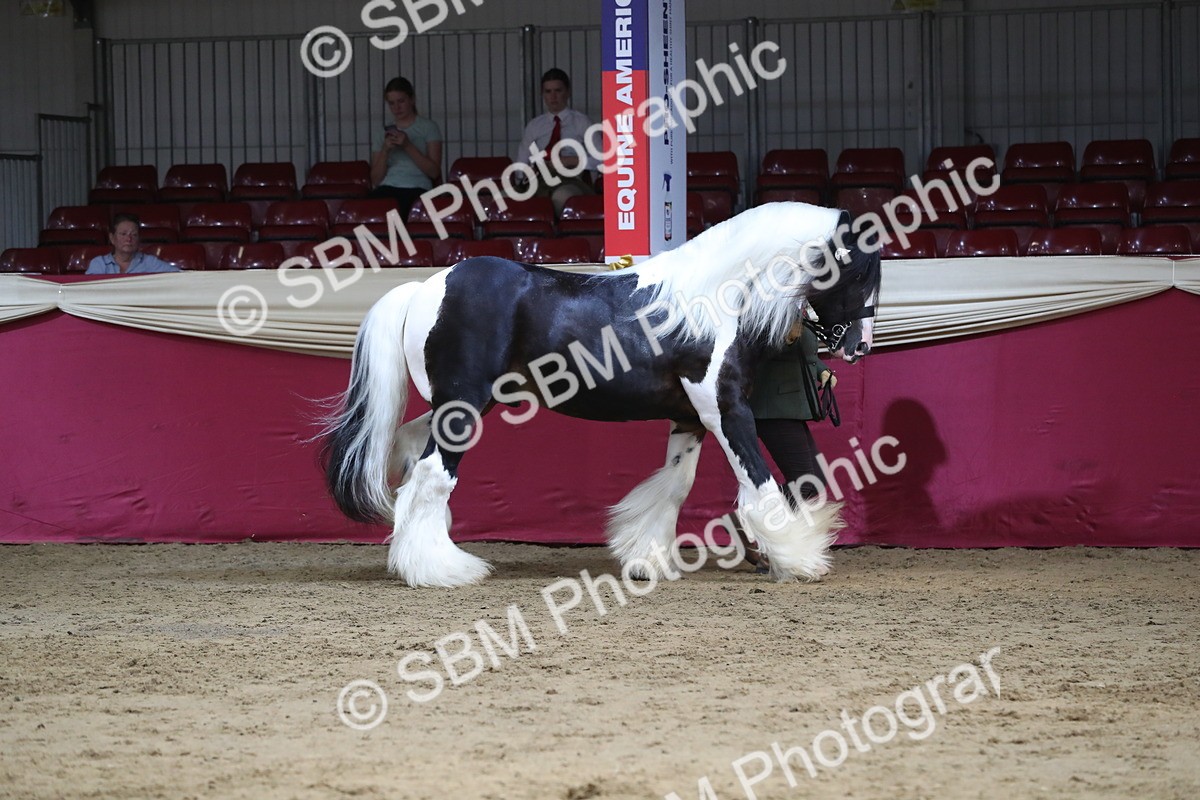 SBM_06536 - Regional IH Champ