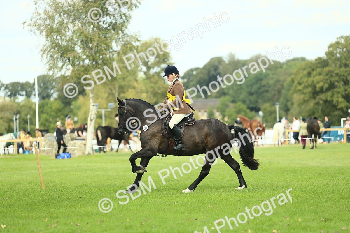 SBM_44949 - Working Hunter Pony Supreme Championship